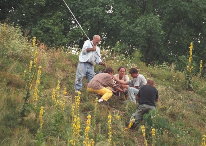 Click to zoom the picture.