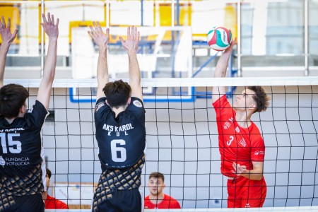 Kliknij, aby powiększyć zdjęcie.