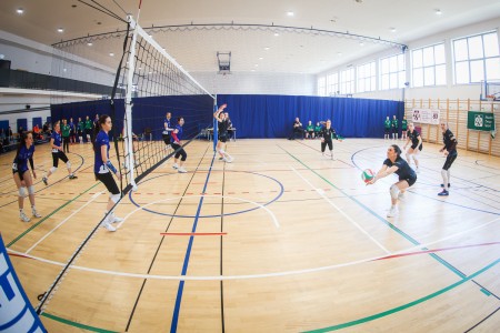 Kliknij, aby powiększyć zdjęcie.