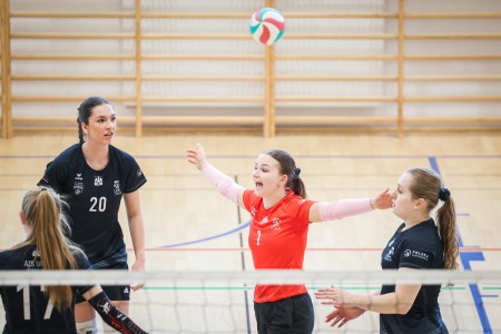 Kliknij, aby powiększyć zdjęcie.