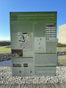 Click to zoom the picture.