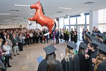 Kliknij, aby powiększyć zdjęcie.