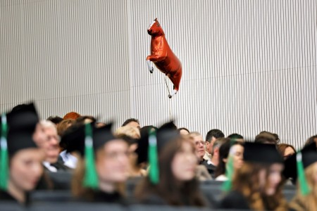 Kliknij, aby powiększyć zdjęcie.