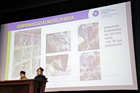 Kliknij, aby powiększyć zdjęcie.