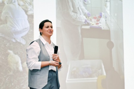 Kliknij, aby powiększyć zdjęcie.