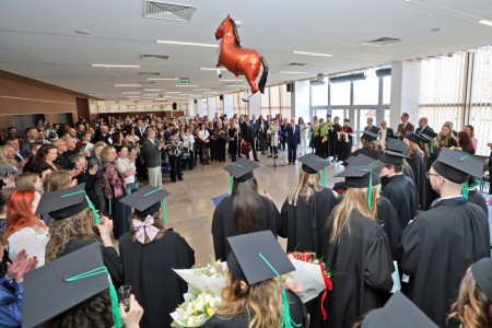 Kliknij, aby powiększyć zdjęcie.