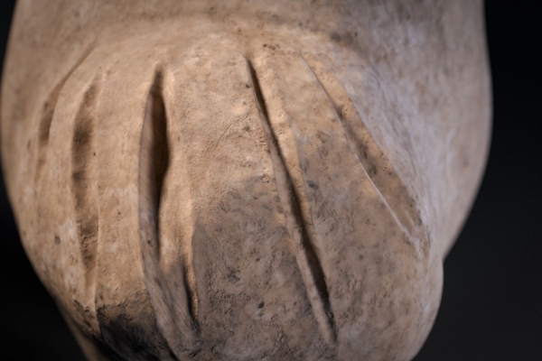 Kliknij, aby powiększyć zdjęcie.