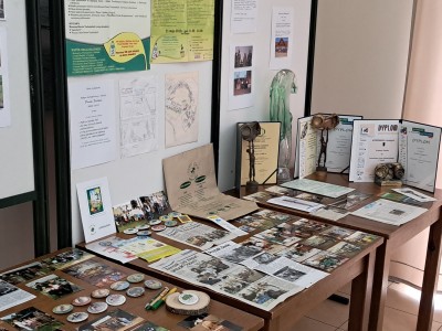 Kliknij, aby powiększyć zdjęcie.