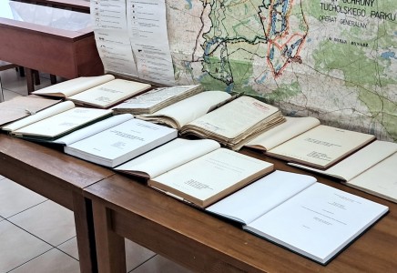 Kliknij, aby powiększyć zdjęcie.