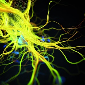 Click to zoom the picture.