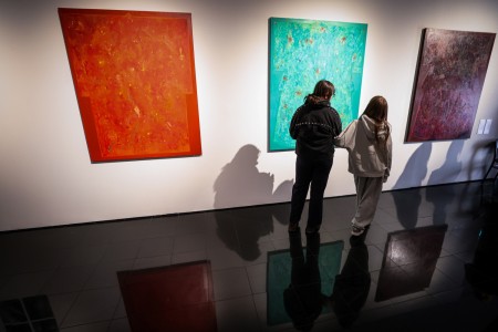 Kliknij, aby powiększyć zdjęcie.