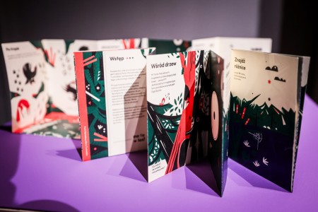 Kliknij, aby powiększyć zdjęcie.