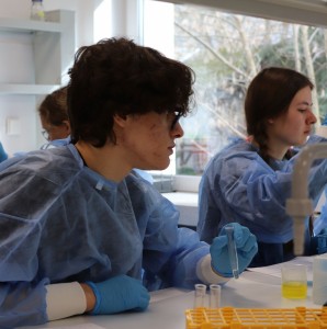 Kliknij, aby powiększyć zdjęcie.