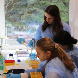 Kliknij, aby powiększyć zdjęcie.