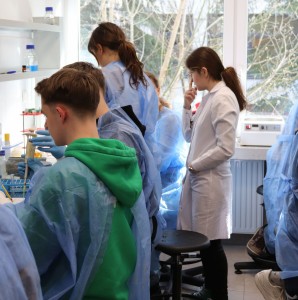 Kliknij, aby powiększyć zdjęcie.