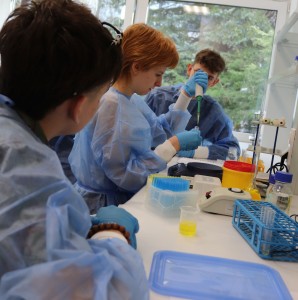 Kliknij, aby powiększyć zdjęcie.