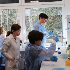 Kliknij, aby powiększyć zdjęcie.