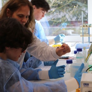 Kliknij, aby powiększyć zdjęcie.