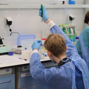 Kliknij, aby powiększyć zdjęcie.