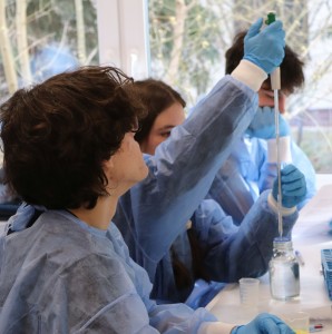 Kliknij, aby powiększyć zdjęcie.