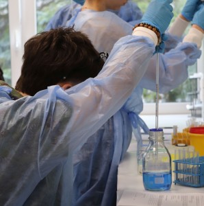 Kliknij, aby powiększyć zdjęcie.