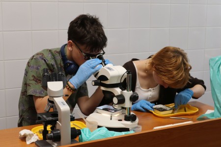 Kliknij, aby powiększyć zdjęcie.