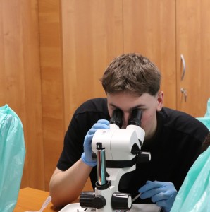 Kliknij, aby powiększyć zdjęcie.