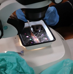 Kliknij, aby powiększyć zdjęcie.