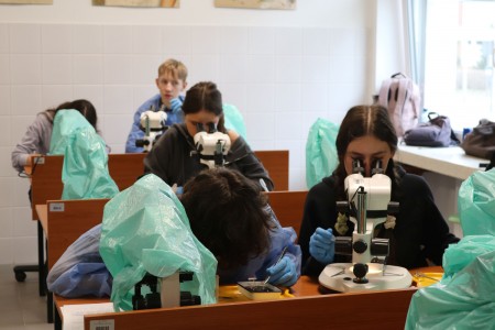 Kliknij, aby powiększyć zdjęcie.