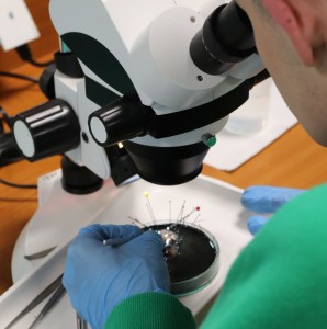 Kliknij, aby powiększyć zdjęcie.