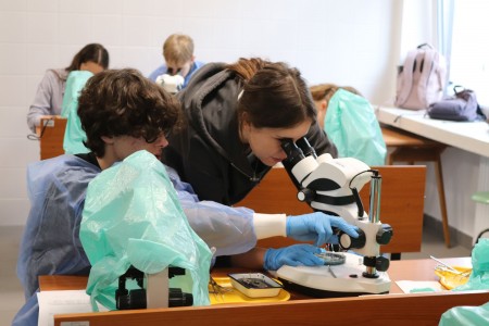 Kliknij, aby powiększyć zdjęcie.