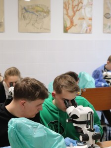 Kliknij, aby powiększyć zdjęcie.