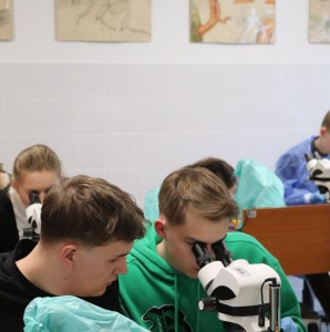 Kliknij, aby powiększyć zdjęcie.