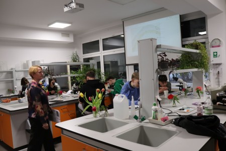 Kliknij, aby powiększyć zdjęcie.