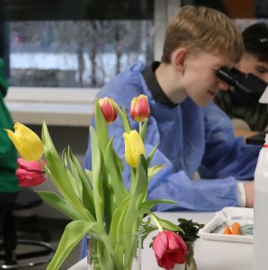 Kliknij, aby powiększyć zdjęcie.