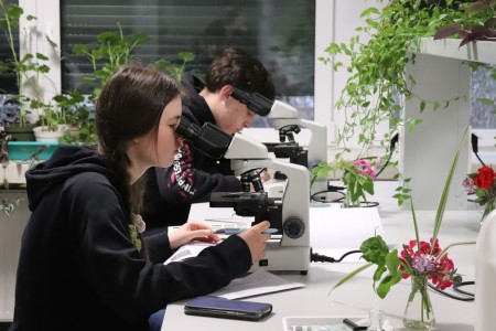 Kliknij, aby powiększyć zdjęcie.