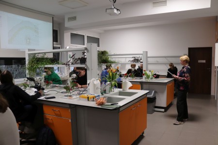 Kliknij, aby powiększyć zdjęcie.