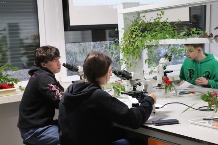 Kliknij, aby powiększyć zdjęcie.