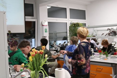 Kliknij, aby powiększyć zdjęcie.