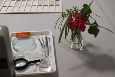 Kliknij, aby powiększyć zdjęcie.