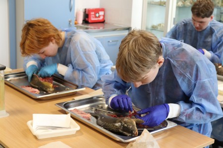 Kliknij, aby powiększyć zdjęcie.