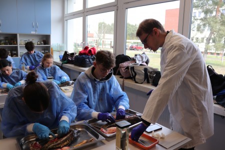 Kliknij, aby powiększyć zdjęcie.