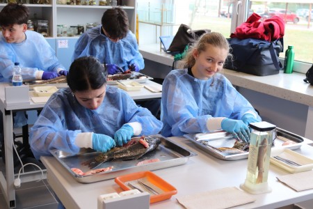 Kliknij, aby powiększyć zdjęcie.