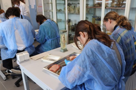 Kliknij, aby powiększyć zdjęcie.