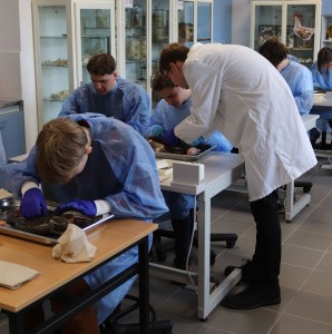 Kliknij, aby powiększyć zdjęcie.