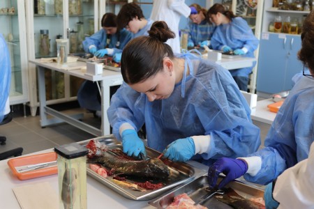 Kliknij, aby powiększyć zdjęcie.