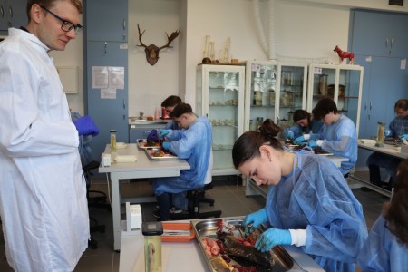 Kliknij, aby powiększyć zdjęcie.