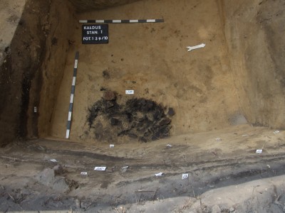 Click to zoom the picture.