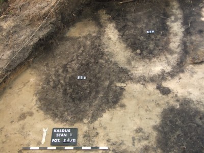 Click to zoom the picture.