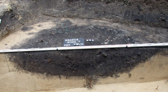 Click to zoom the picture.